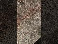 Ram Stuck In Mud