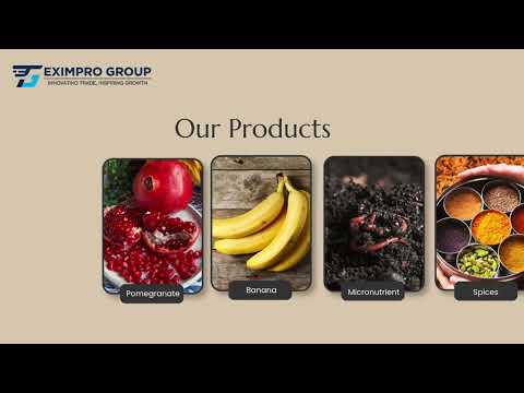 Eximpro Group Video