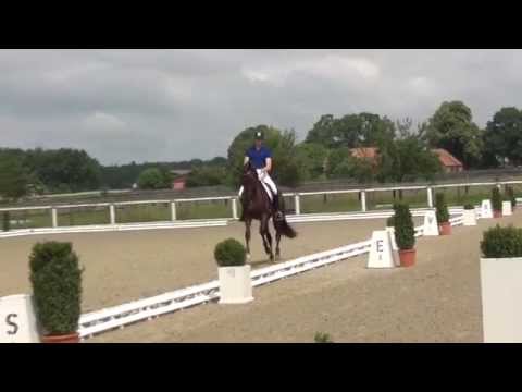 FIDERDANCE & Frederic Wandres - 1. Sichtung zur WM junge Dressurpferde 18.06.2014
