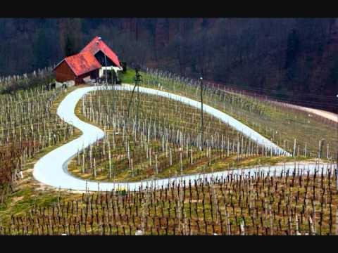 Ansambel Zasavci - Ti si meni vse