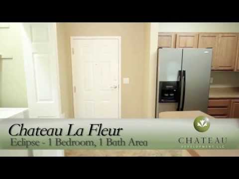 Apartment at 5910 Norfolk Drive Lincoln NE - 1BD 1BA Chateau Development LLC Apartment For Rent