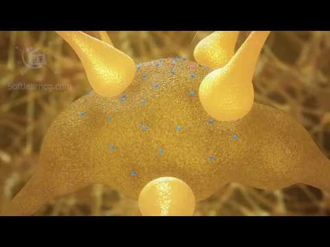 VÓMITO O EMESIS | Definición y Fisiopatología.