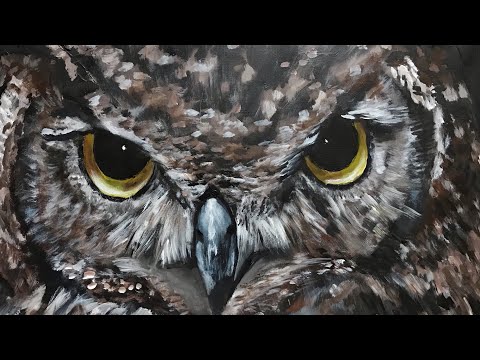 Beginners learn how to paint an owl using acrylics