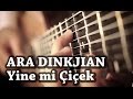 Yine mi Çiçek - Microtonal Guitar - Ara Dinkjian - Invisible Lover