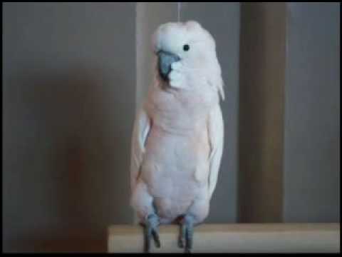 15 MINUTES OF FAME- 100PERCENTREALWORDS.BLOGSPOT.COM