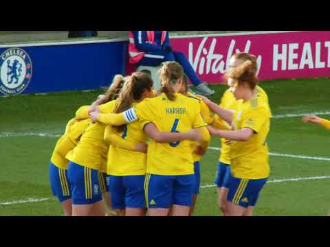 Chelsea vs Birmingham city 2018/2019 highlights