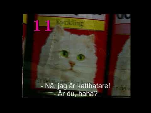 Katthataren vinner Kattmat!