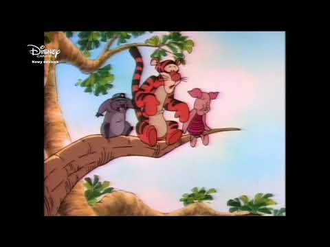 Nowe przygody Kubusia Puchatka - intro + outro (Disney Channel)