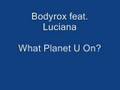 Bodyrox feat. Luciana - What Planet U On? 