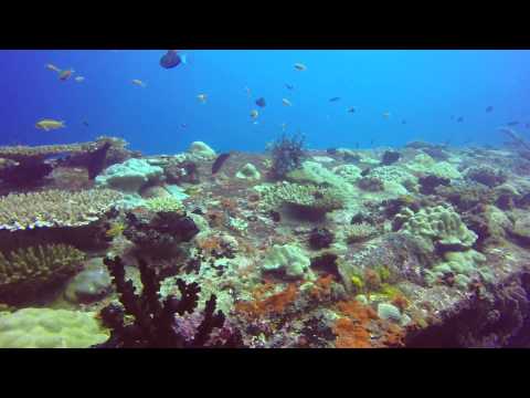 Bandos Rock & Rannamari Wreck