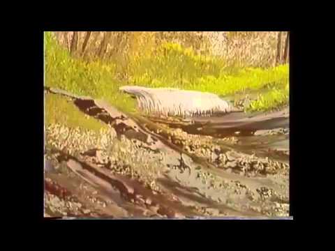 The Joy of Painting S3E3 Bubbling Stream