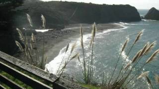 Turn Back the Pages - Stephen Stills