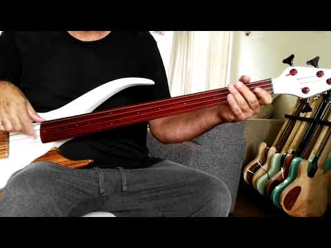 ベース AEDVINES INSTRUMENTS BASS 4st FRETLESS NEW & RARE: Aedvines (NL) CuraBass EP Fretless Bass Piëzo 2022