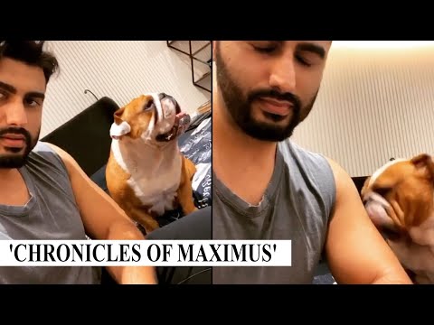 Arjun Kapoor takes charge of sister Anshula Kapoor's dog Maximus