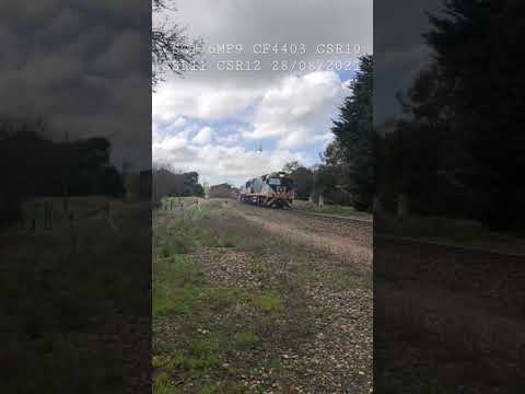 TRAINS AM22 SCT 6MP9 CF4403 CSR10 CSR11 CSR12 28/08/2021
