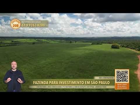 Terralmo 208: Fazenda à venda em São Pedro do Turvo/SP