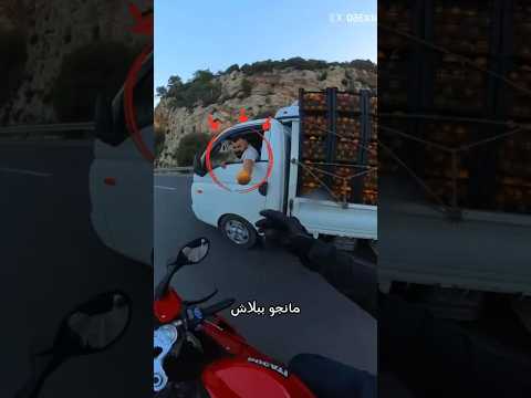 ندم سارق المانجو 🥭🏍️