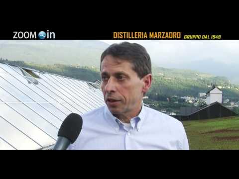 La Distilleria Marzadro