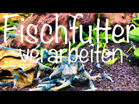 Fischfutter verarbeiten & haltbar machen