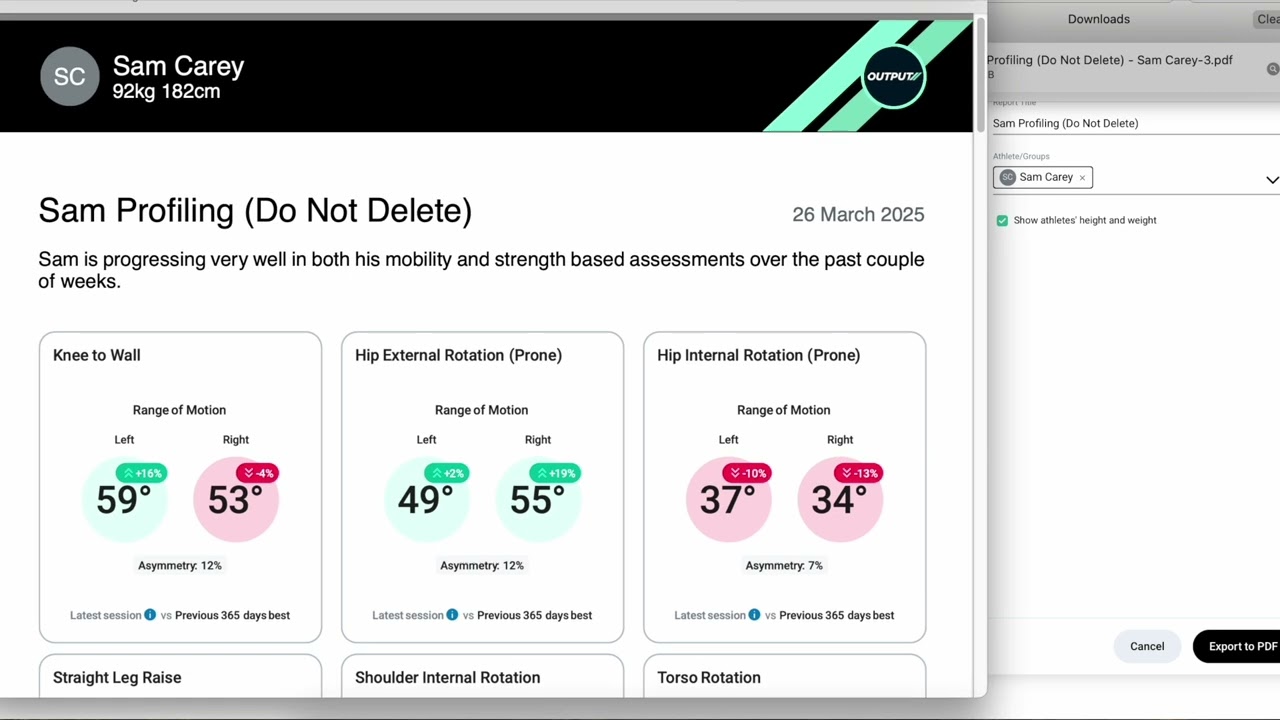Dashboards Export to PDF