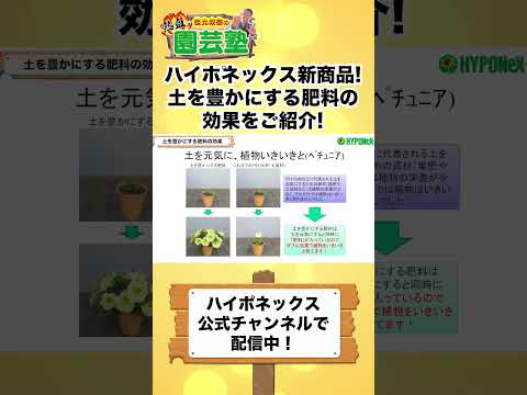 なぜ堆肥に灰を入れるのですか？潜在的な利点とリスク  庭園