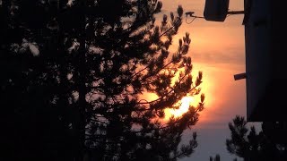 Dexter Freebish - Twilight