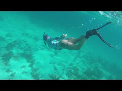Snorkeling in CRYSTAL BLUE waters! WOW | Islamorada, FL
