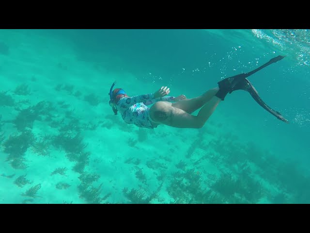 Snorkeling in CRYSTAL BLUE waters! WOW | Islamorada, FL
