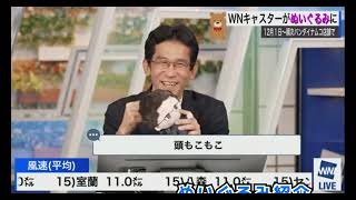 ぬいぐるみ紹介、ぐっさん照れてる。笑(2023年11月20日 #ウェザーニュースLiVE切り抜き〉 #お天気お姉さん #気象予報士 #山口剛央 #大島璃音