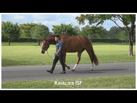 A Day in the Life of Kavalier ISF, 2019