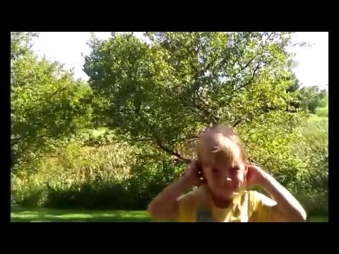 Strange Sound  Before Virginia Quake ! felt like the ground was shaking!