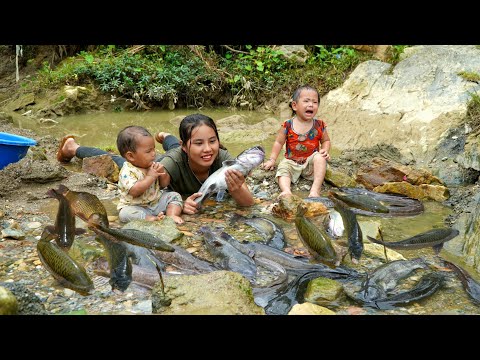 Meet a huge school of fish with your children - catch fish and trap fish on rainy days to sell