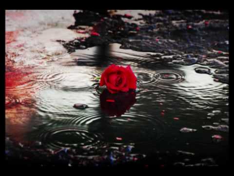 "Rain" by Colleen Gray