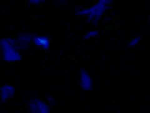 Soares & Dunca liveset@players red monday 25-02-08