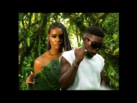 Nana Fofie ft Jaywillz -_- When I see you (Video Visualiser)