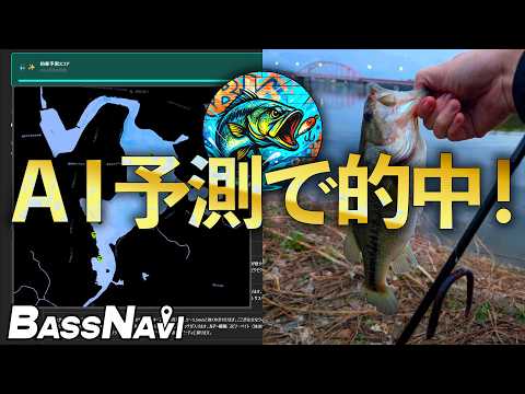 【バス釣り】AIアプリの予測通りのポイントで釣れた！BassNavi使ってみた【高滝ダム】