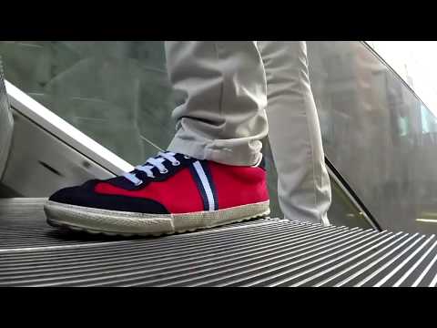 Vitamina A1/Vitamina Básico - Unidad 6