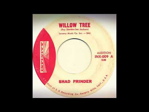 TEEN Shad Prinder - Willow Tree (1961)