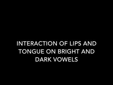 MRI Video of Tongue Movement when Singing