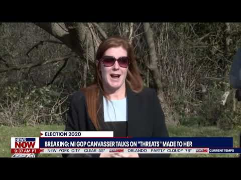 Michigan Canvasser speaks out after feeling threatened