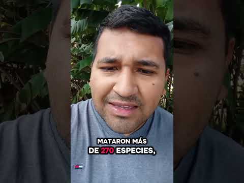 Masacre de Fauna Silvestre en Fortín Olmos Santa fé