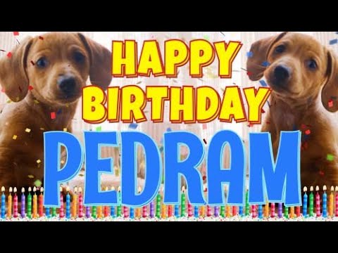 Happy Birthday Pedram! ( Funny Talking Dogs ) What Is Free On My Birthday