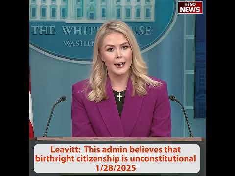 Wegmann: see you here every day? How frequently? birthright citizenship unconstitutional; NATO