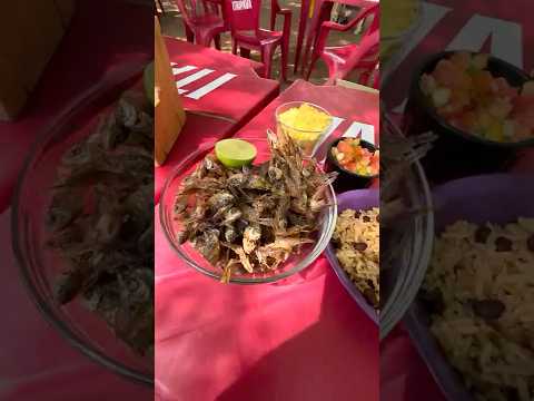 Piabinha com Baião e Torresmo no Açude Serafim Dias, Mombaça (CE)!