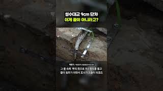 이거 아는지 서울시에 직접 물어봄｜크랩