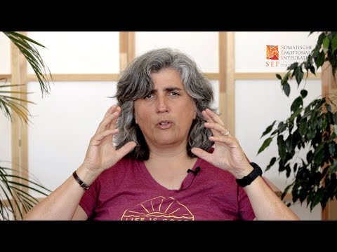 The Heart of Trauma - Emotional Flashbacks and Why We Don't Notice Them