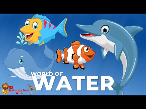 Amazing Animals - Fishes Enjoying in Water with Relaxing and Calming music @BStvNaturesBest