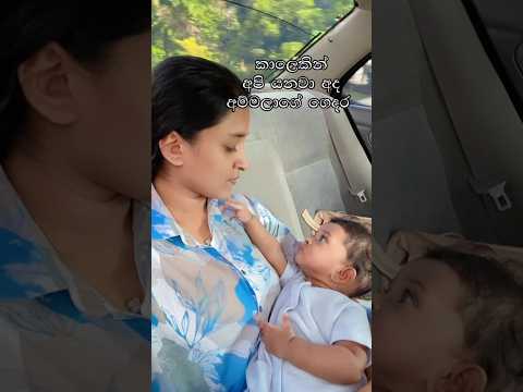 කාපු එකමයි කරේ 🫠😉 #love minivlog #dayinmylife #momlife #backtohome
