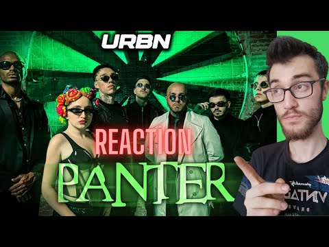 HIZLI BİR BAŞLANGIÇ! HİPNEZİ ''PAPİ & KİMERA & İCE & BHETTO & VESS & DİANZ - PANTER'' REACTİON