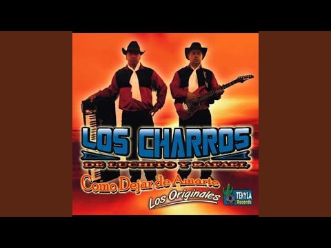 Como Dejar de Amarte